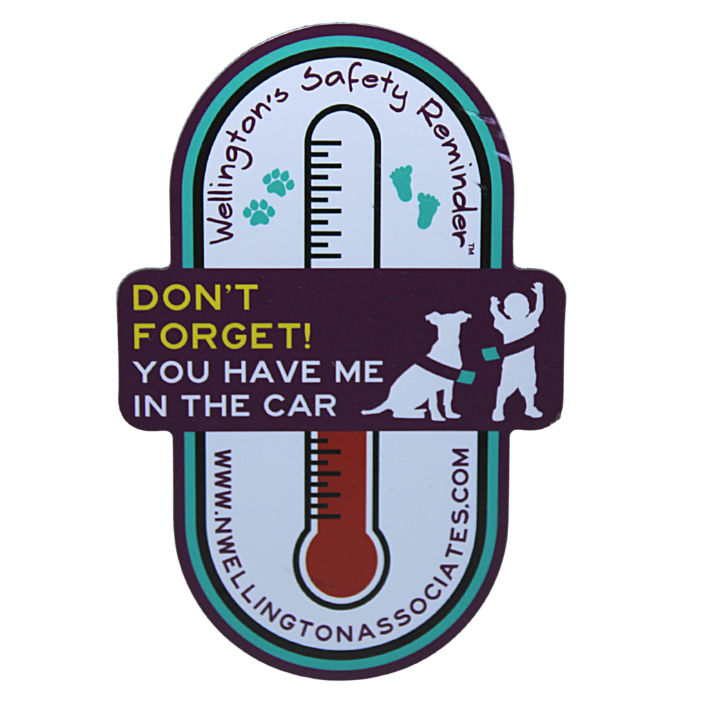 Wellington's safety Reminder car magnet